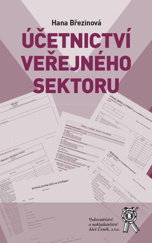 Účetnictví veřejného sektoru